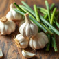 Garlic Fresh 500g